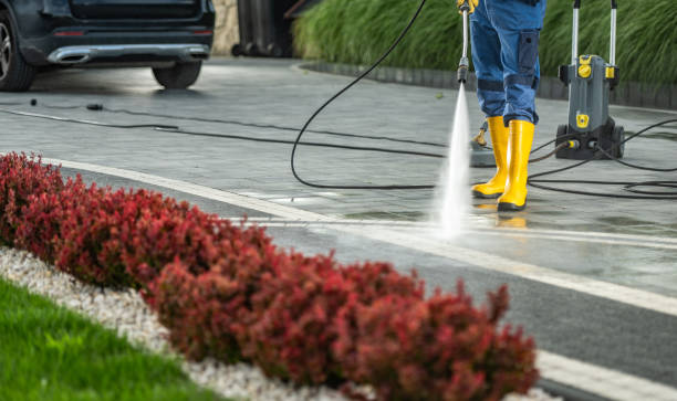 Best Driveway Pressure Washing  in Davisboro, GA